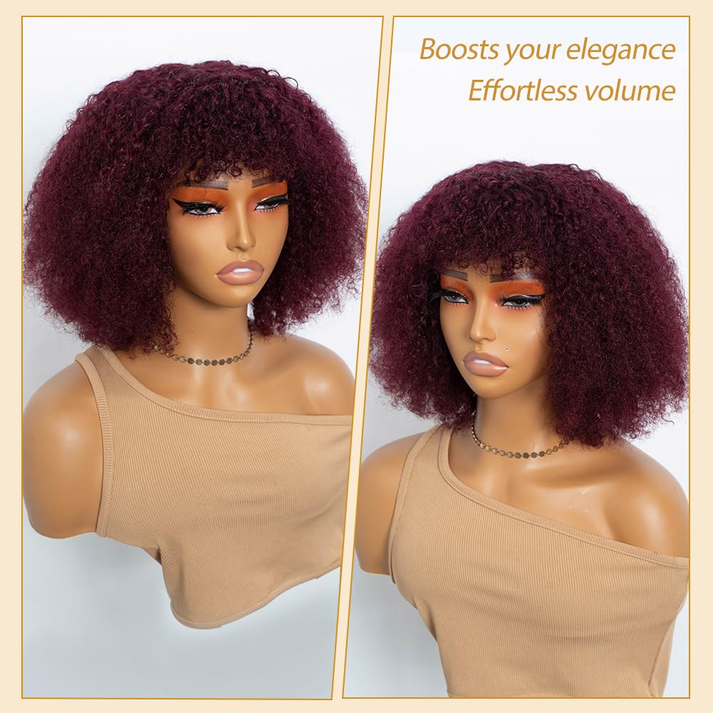 Joedir Hair Human Hair Wig Afro Kinky Curly Fluffy Wig for Black Women Wear and Go Wig with Bangs Glueless Wigs 250% Density (99J, 10 inch)