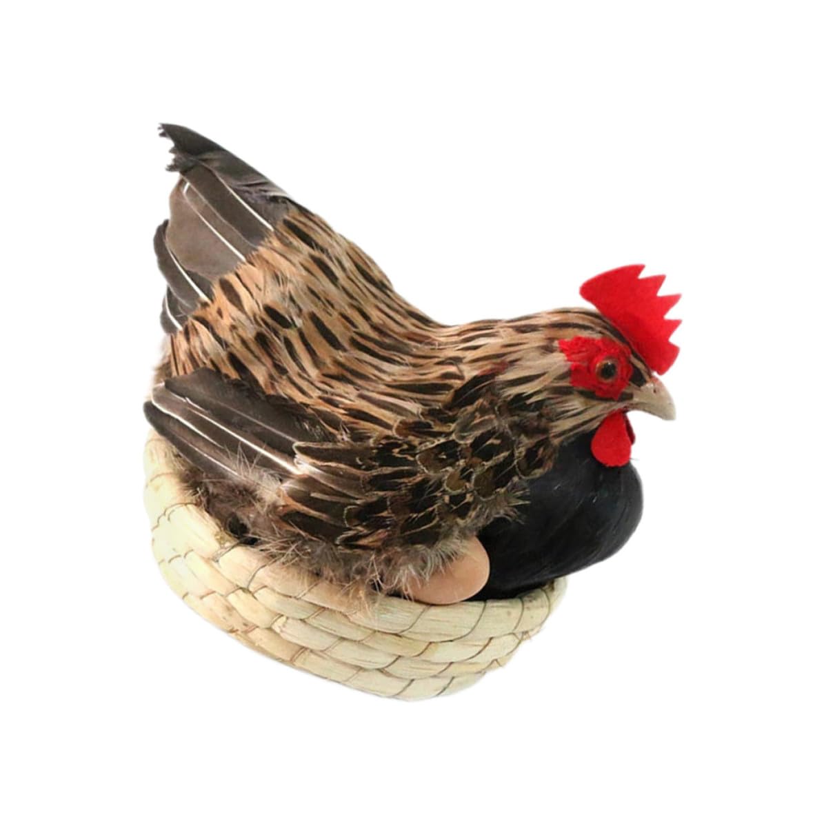 Poule pondeuse en paille plumage naturel réveille votre jardin