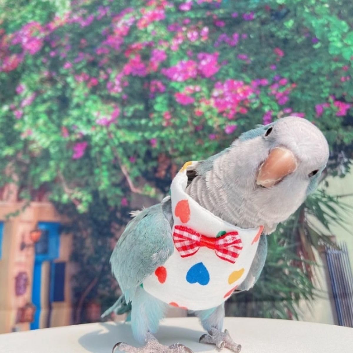 Cute Bird Costume Bird Diaper Flight Suit Bird Clothes Cosplay Photo Prop for Parrots Conure African Grey Lovebird Parakeet Cockatiel Small Animals Apparel (with Diaper,2XL)