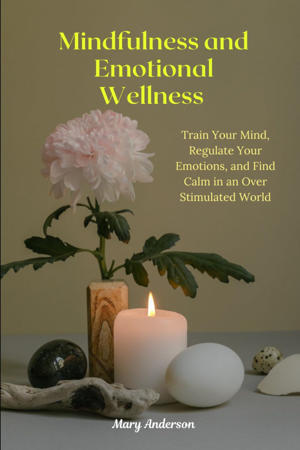 Mindfulness and Emotional Wellness: Train Your Mind, Regulate Your Emotions, and Find Calm in an Over stimulated World.