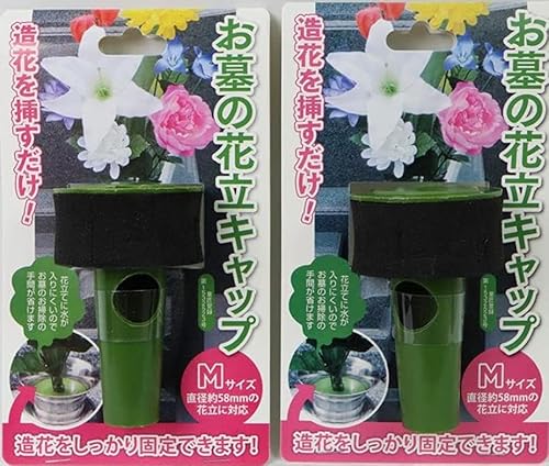  ԗ ̉ԗLbv ԂŒ 1΁i2j (M)