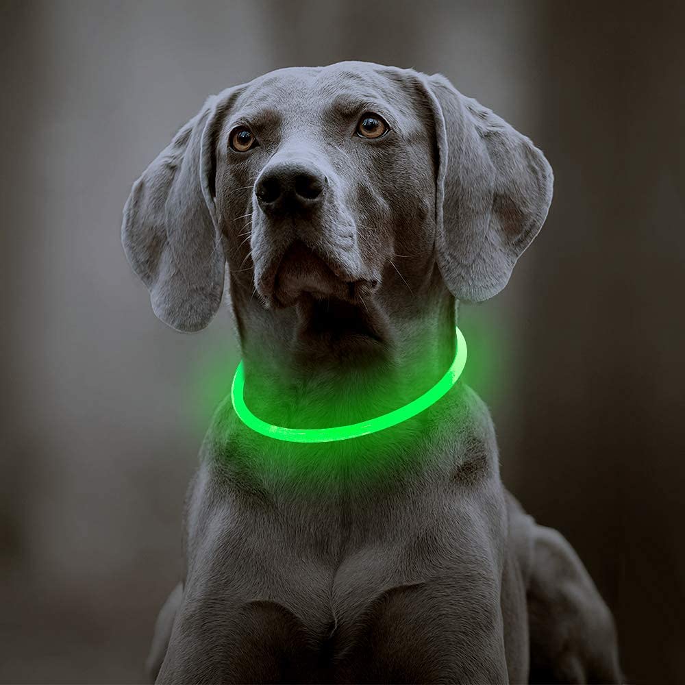 Light Up Dog Collars - TPU Cuttable USB Rechargeable Glowing LED Dog Collar, Safety Dog Lights for Small Medium Large Dogs (Blue)