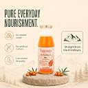 Kalpveda Himalayan Sea Buckthorn Pulp Juice 300ml | Vitamin C, Omega 3 6 7 9 & Antioxidants | Supports Immunity, Gut Health & Skin Wellness | Glass Bottle (Pack of 1) gallery image