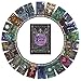 The Ghoulish Garb Terror Tarot Card Deck - 23 Card Major Arcana Halloween Tarot Cards and Guidebook Occult Gothic Oracle Cards for Beginners with Guide Book Oracle Decks