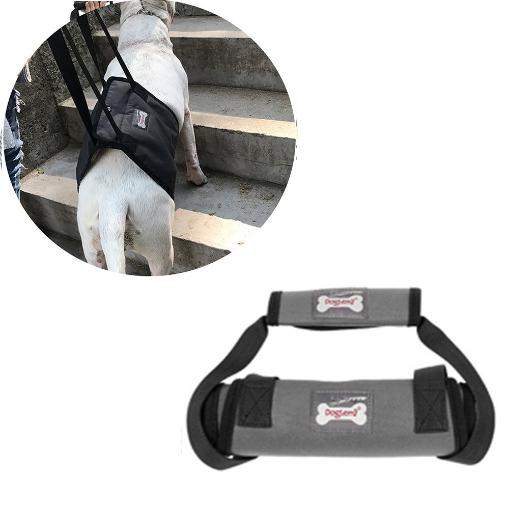 Buy Vinca Mascot Gray Dog Lift Support Harness Rehabilitation Assist