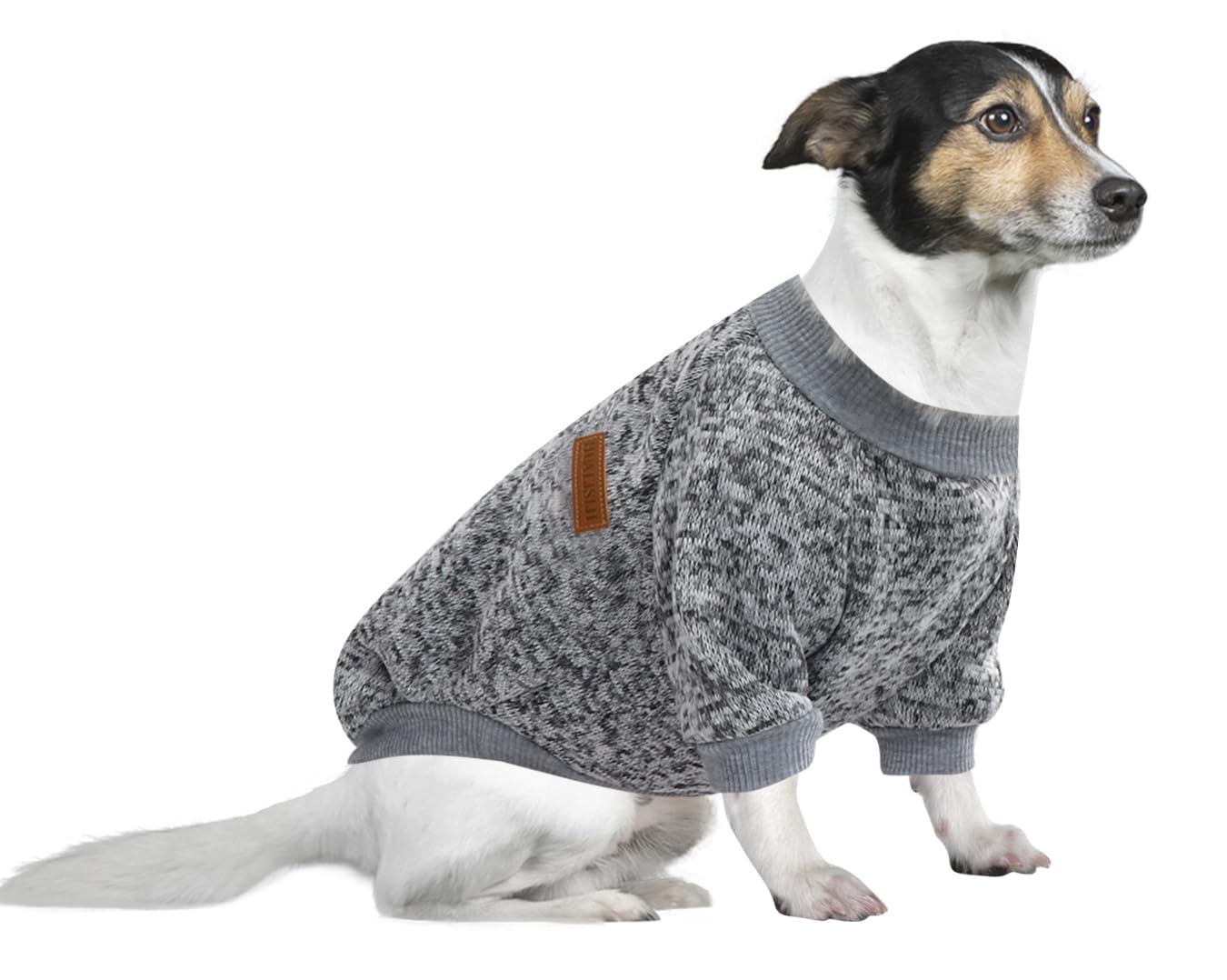 Jersey Perro Pequeño Sudaderas para Perros Jersey Chihuahua Jersey Gato, Es un Tejido Bastante Cómodo, Suave y Cálido para el Animal y Fácil de Poner (Azul+Morado,M) — view 17