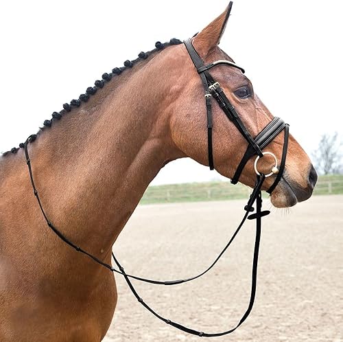 Miniatura 3 de HORZE Lester - Brida con rienas