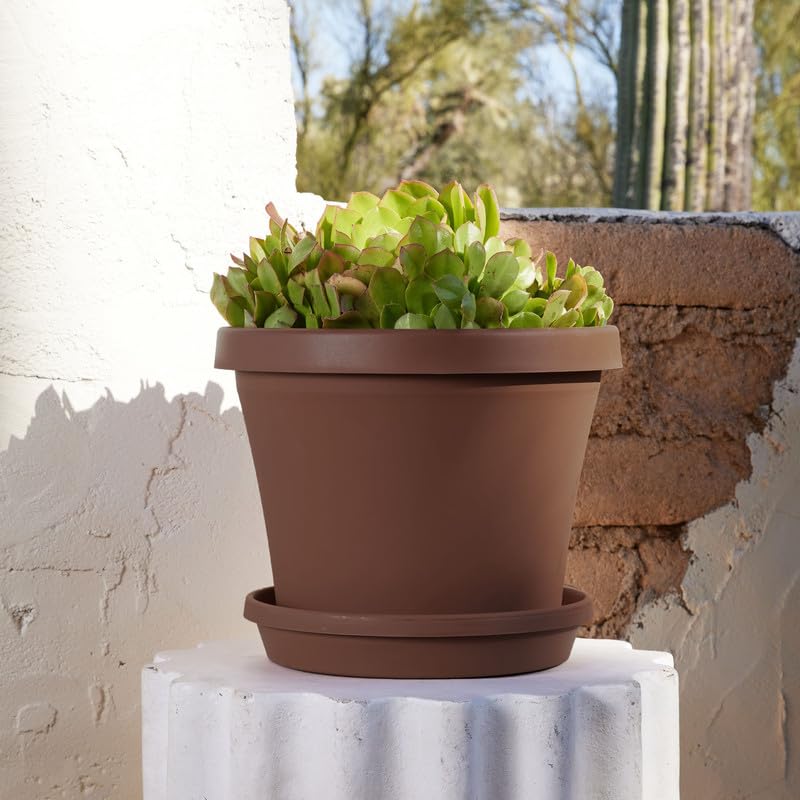 Akro-Mils Fioriere Pride MSA16000E21 40,6 cm Cioccolato Marina Planter