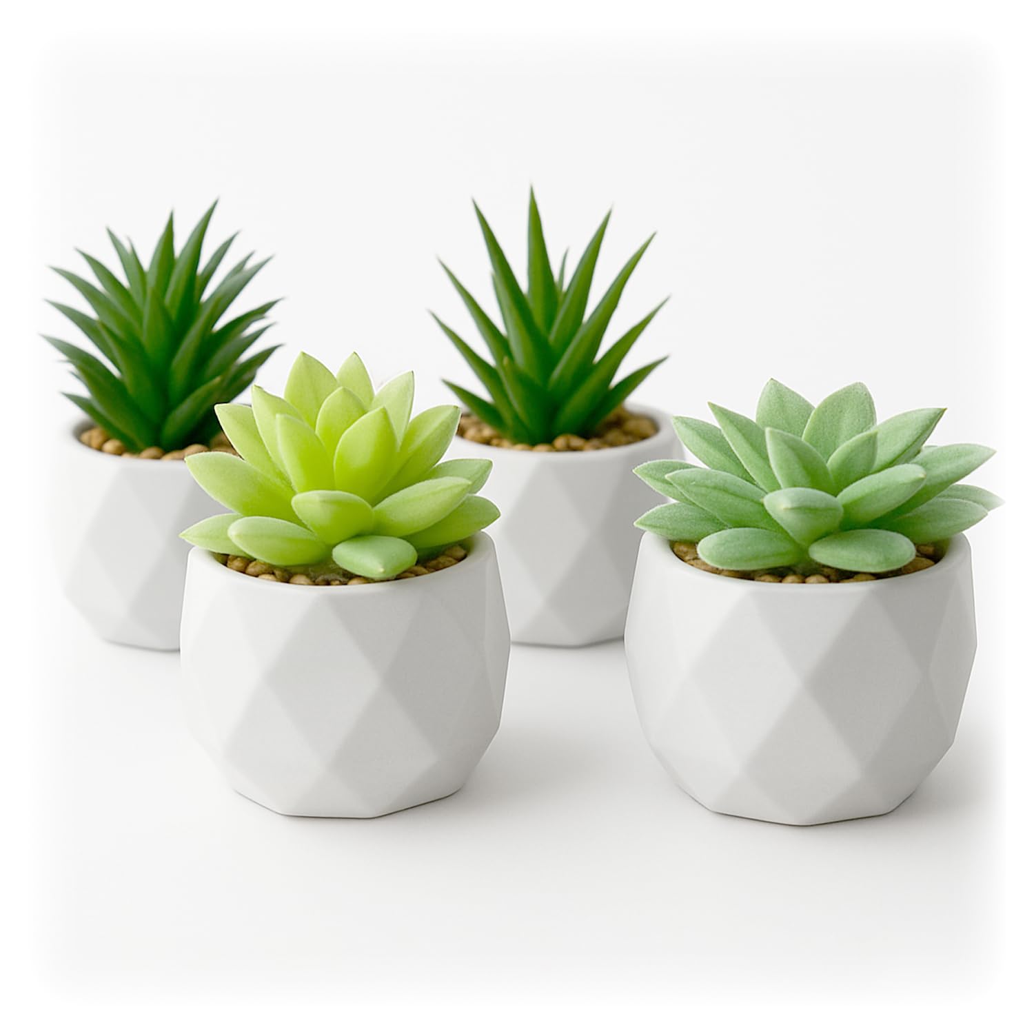 GRIFTO Mini Fake Plants Set