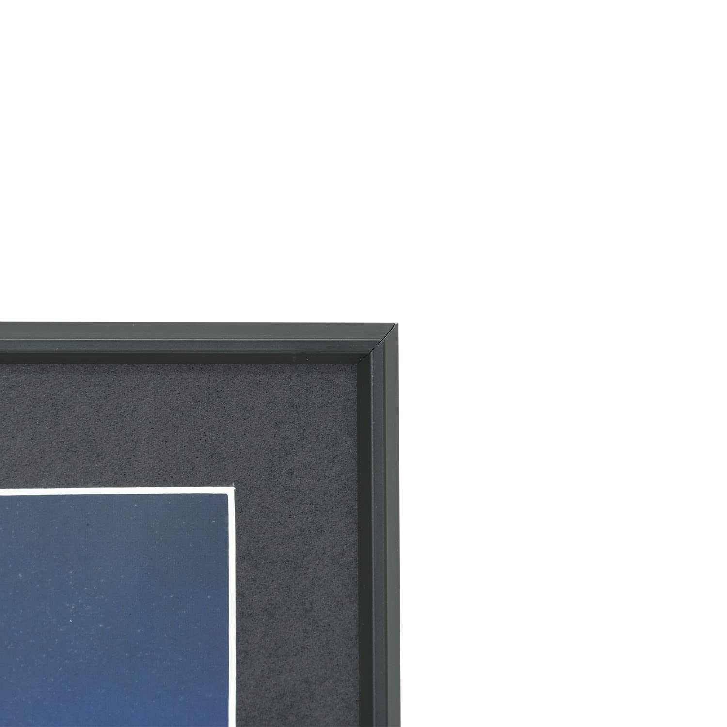 Amazon.co.jp: FUJICOLOR ( フジカラー ): アルミ額縁