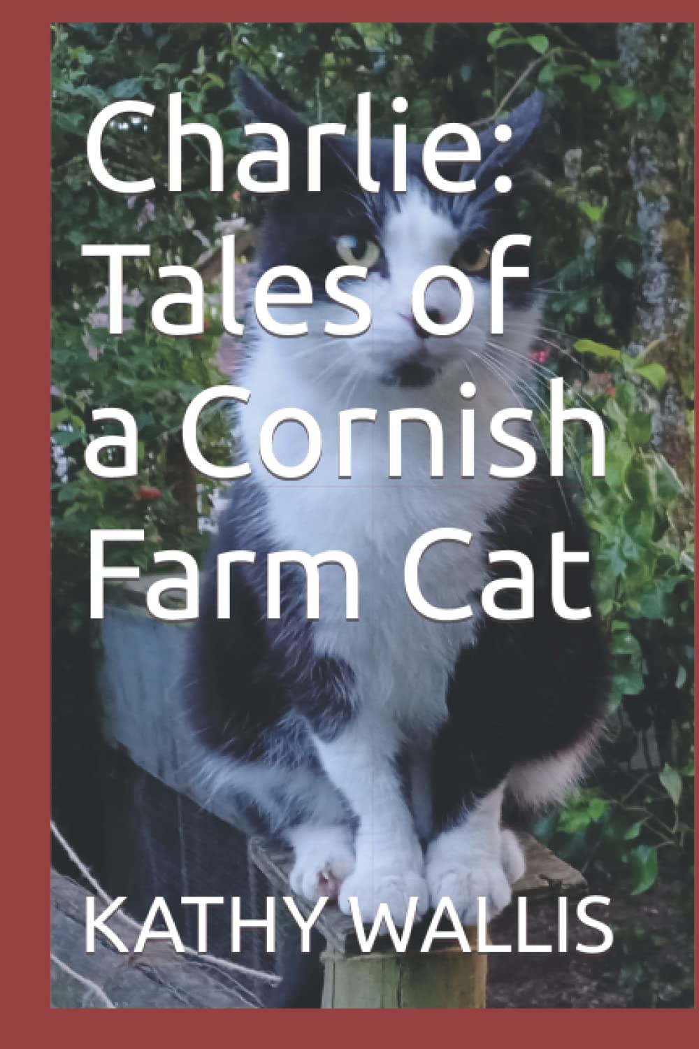 Charlie: Tales of a Cornish Farm Cat