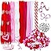 500 Pieces Valentine Chenille Stem Pipe Cleaners Set, Including 100 Pieces Pipe Cleaners, 4 Size Pom Poms and 4 Size Wiggle Googly Eyes for Craft DIY Art Supplies