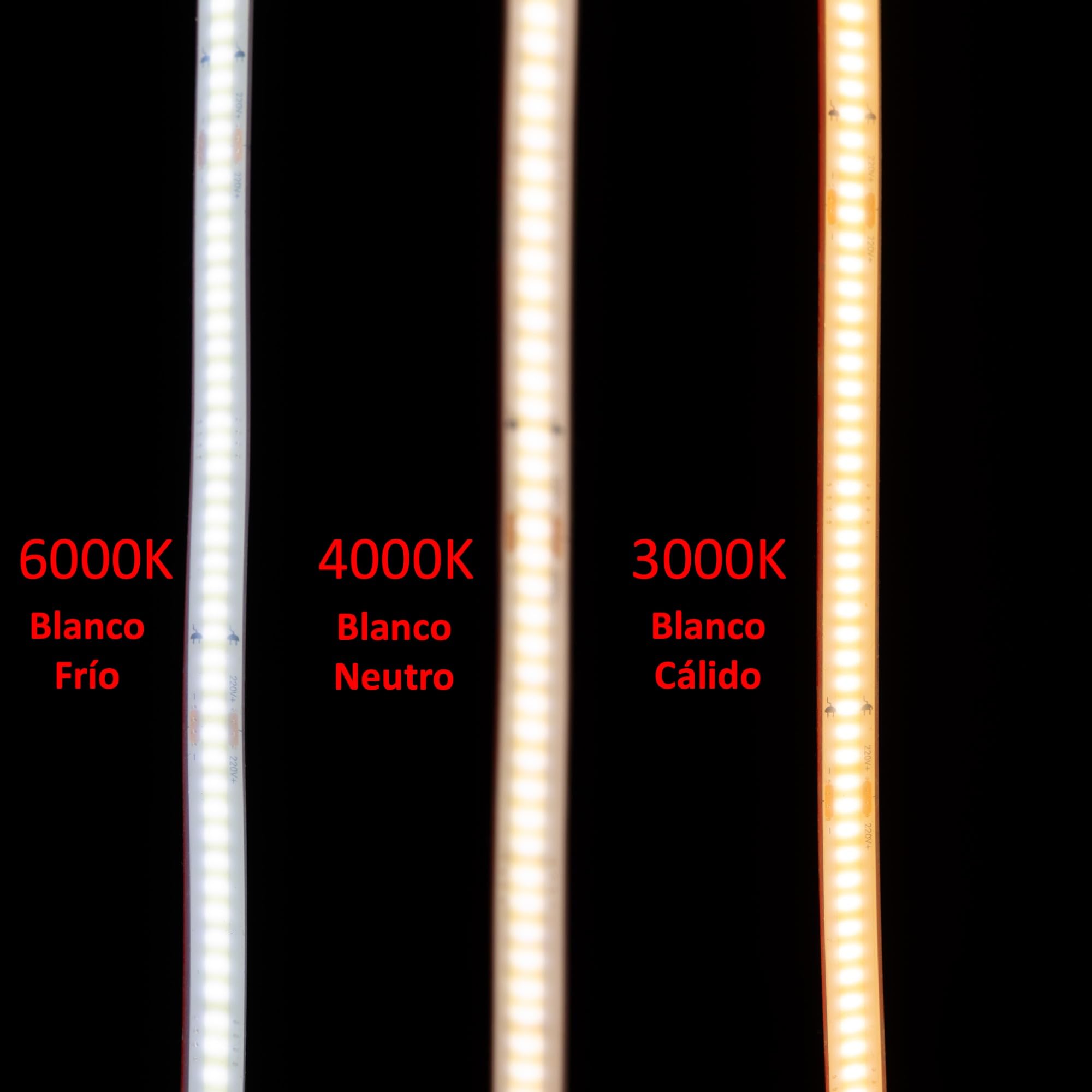 Taśma LED COB 220 V WYSOKA LUMINOŚNOŚĆ, KLEJNY I PRZEŁĄCZNIK. WODOODPORNY Zimny / Neutralny / Ciepły Wodoodporny pasek IP67 (Zimna biel, 15M)