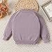 Lamgool Baby Toddler Girls Sweater Knitted Pullover Button Vintage Floral Embroidered Kids Sweatshirt for Fall Spring 3T Purple