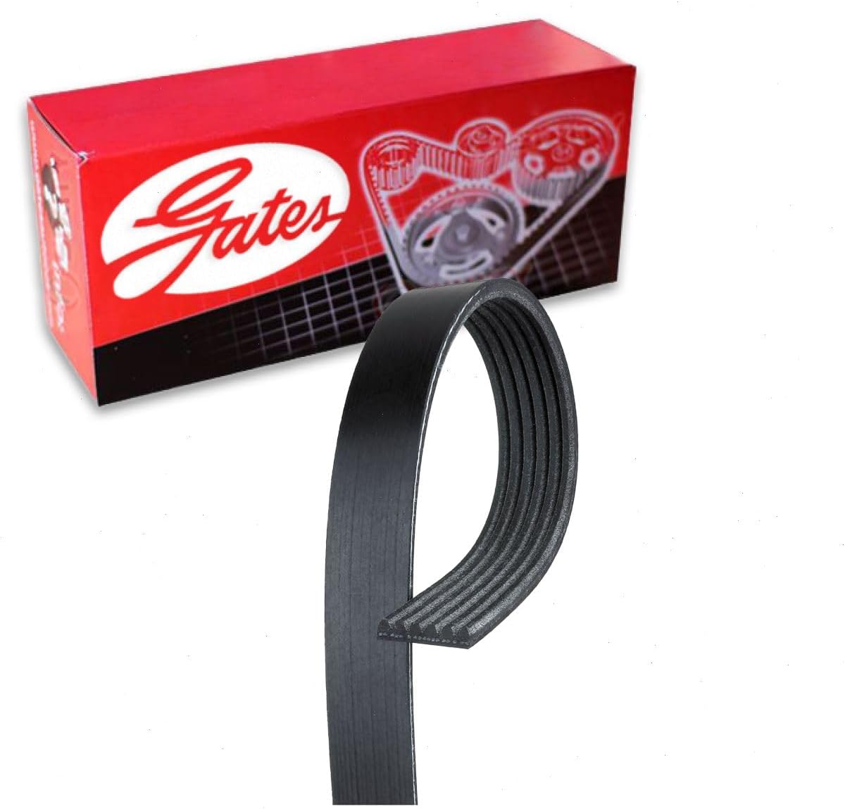 Gates Micro-V Serpentine Belt compatible with Chrysler Pacifica 3.6L V6 2017-2020