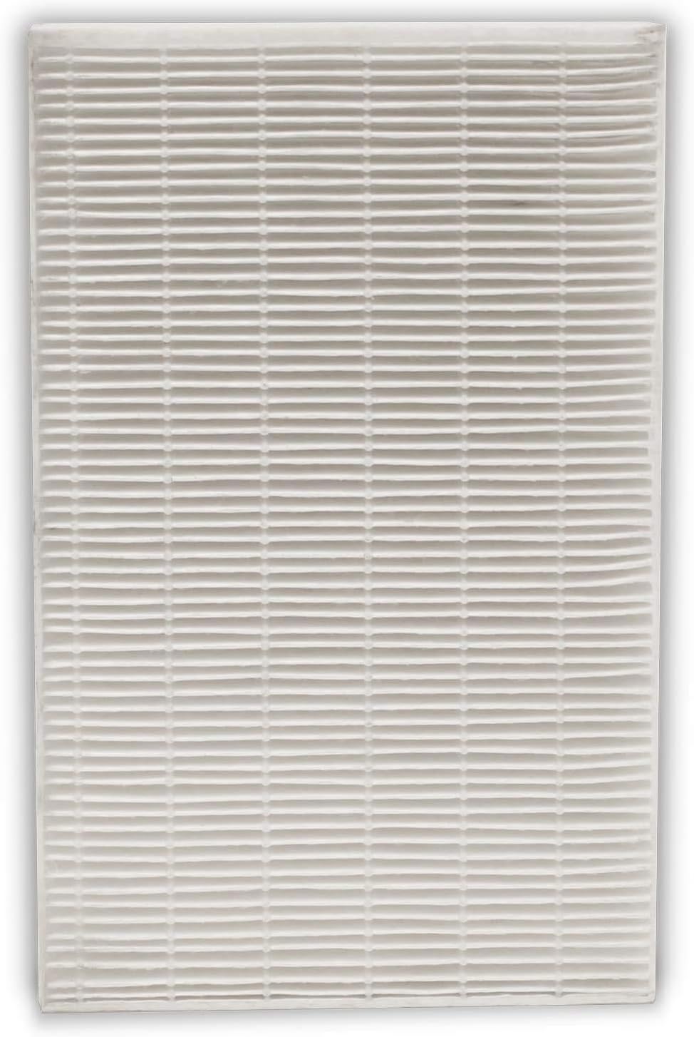 Hepa Repl Filter