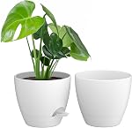 ZMTECH paquet de 2 10 Pots de plantes de pouce avec arrosage des lèvres auto-arrosage Planters avec trous de drainage et pot de fleurs amovibles de Saucer en plastique pour les plantes d'extérieur intérieur (Gray)