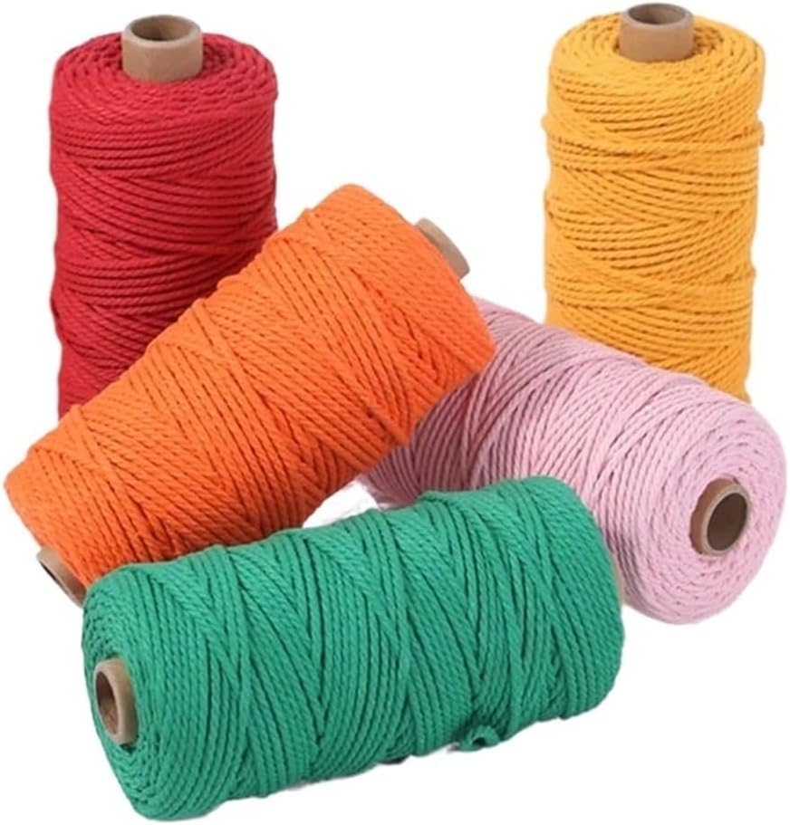 Colorful Cotton Rope, 2/3/4mm Twine Macrame Cord String Thread DIY Crafts Braided Twisted Cotton Cord for Party Wedding Decor(Color 03,2MM 100M)