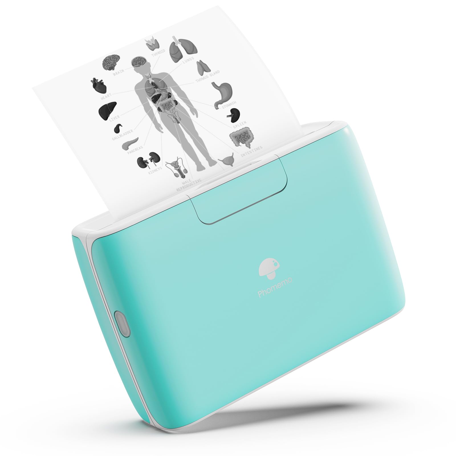 Phomemo M04S Wireless Portable Printer- Thermal Printer Sticker Printer- Compatible with iOS and Android for Travel, Mobile Office, School, Home with 300dpi,Support 53/80/110mm Printing Width, Green