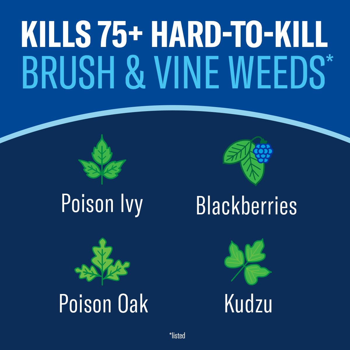 BioAdvanced triclopir 704655a Mata kudzu, Hiedra venenosa y Otra Asesino Cepillo Duro, más el Control de malezas de Hierba no selectivo