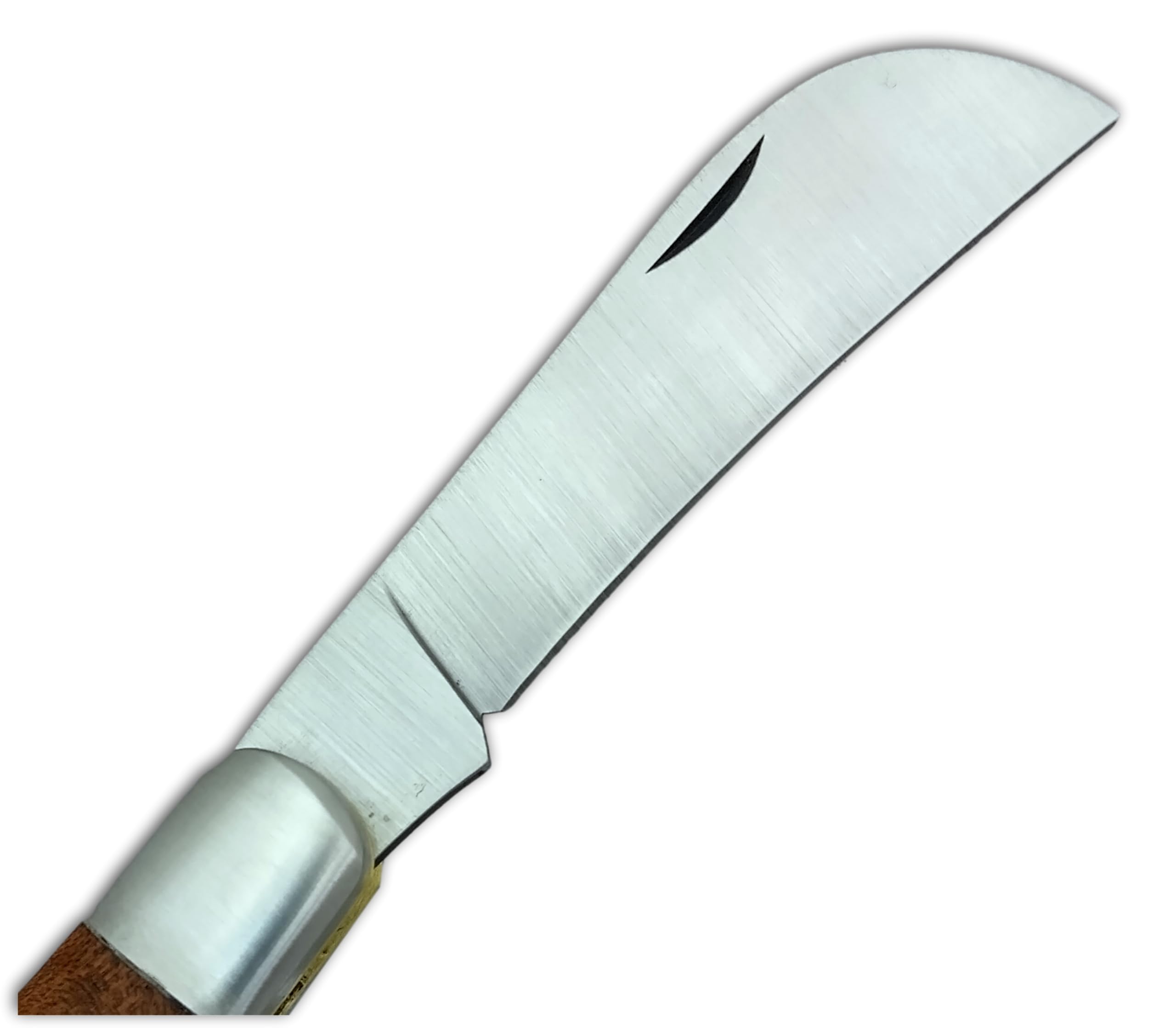 DUE BUOI 260L PLUS Roncola Professionale da Innesto Alberi da Frutto e Giardinaggio per Mancini - Acciaio Carbonio Manico in Legno