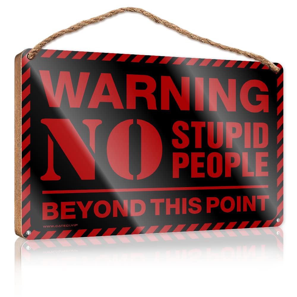 Yyhleh One Color Winter Door Decorations Decor For Bedroom Warning No Stupid People Beyond This Point Wooden Sign(15X28cm)