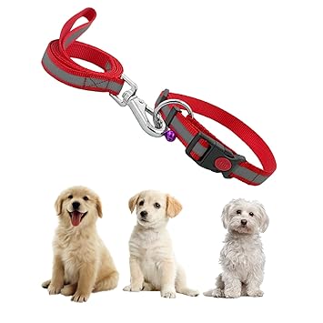 Jainsons Pet Products 2cm / 20mm Reflective Dog Leash and Collar Set with Safety Locking Buckle Nylon Pet Collars Adjustable for Small Medium Large Dogs (Color May Vary)