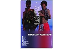 Oracular Spectacular MGMT 1 Canvas Poster Home Decor Valentine's Birthday Gift for Music Lovers