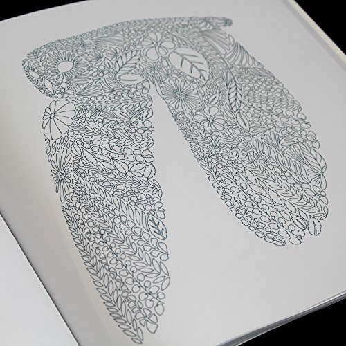 Decorando sua casa com o reino animal