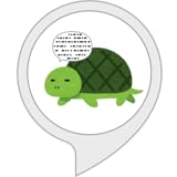 スローマスター