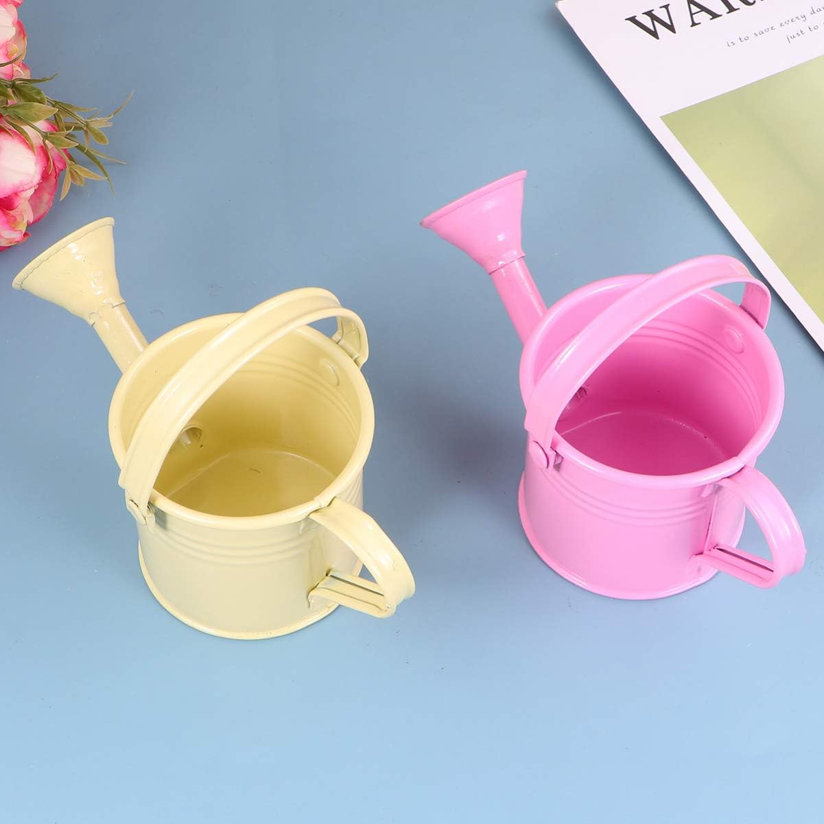 Watering can,Vintage Decor 2pcs Small Metal Watering can Small Watering can Metal Watering can Watering Can for Succulants