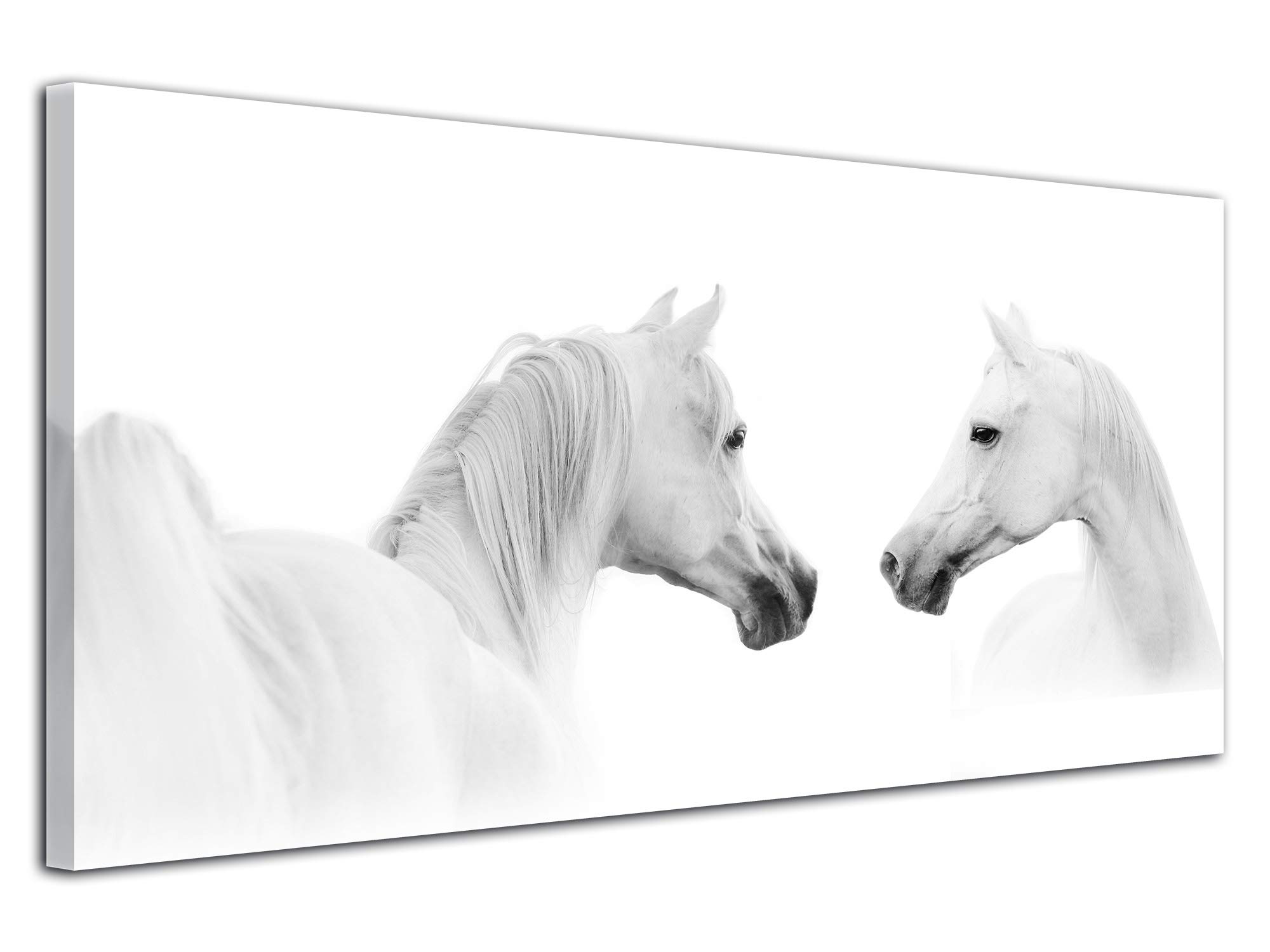 Declina, Cuadro de Animales, Cuadro Decorativo de Pared, Lienzo no Tejido, Cuadro Decorativo Moderno de los Caballos 60 x 30 cm, Lona, Negro y Blanco, 60x30 cm
