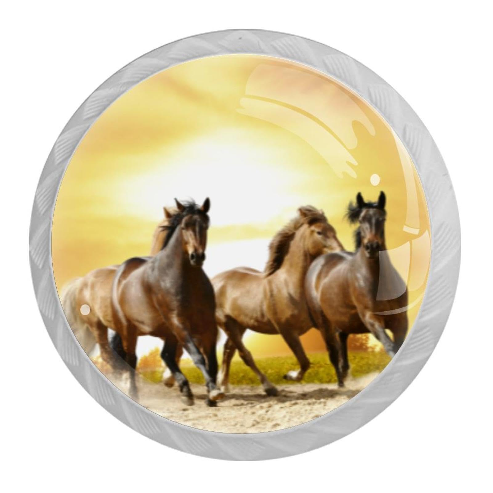 Tqmspg Sunset Landscape Horses