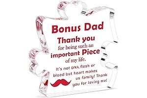 Acrylic Decoration Sign/Plaque - Heartfelt Gift for the Special Bonus Dad