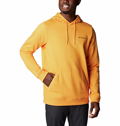 Image of Columbia Men CSC Basic Logo II Hoodie