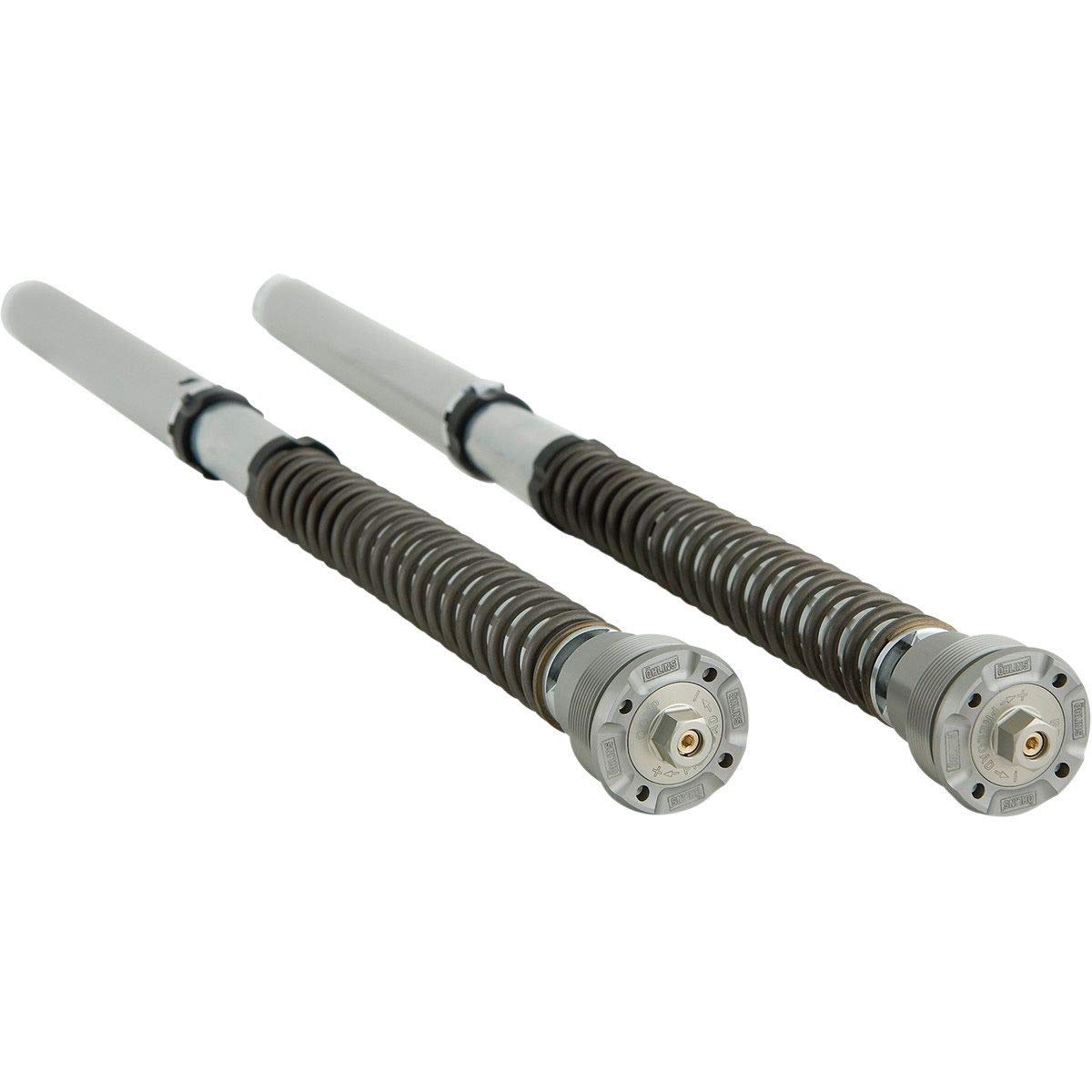 Ohlinsfgk 231 Fork Cartridge Kit Road And Track 30mm Front