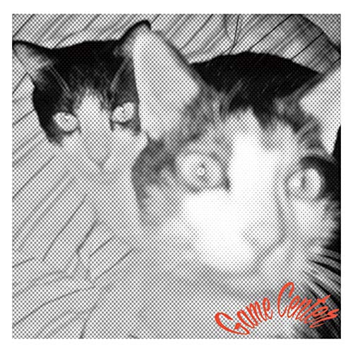 2010 *7 inch Record (Includes DL Coupon) [TOKEI-20] [Analog]