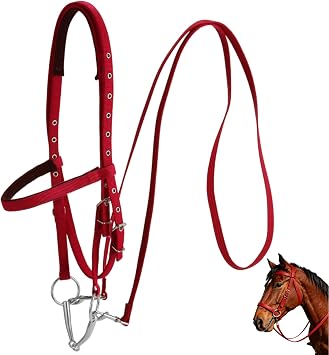 Varku Horse Bridle, Large Size, Black Nylon, Adjustable Headstall, Long-Lasting Heavy Duty Double Buckle, Comfortable Fit, Secure Stitching, Tool-Free Bit Change for Horses Over 4.27 Feet Tall