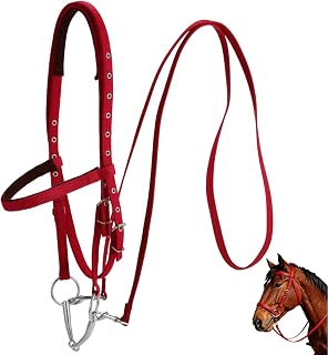 Varku Horse Bridle Large Size Lahore, Karachi - Pakistan