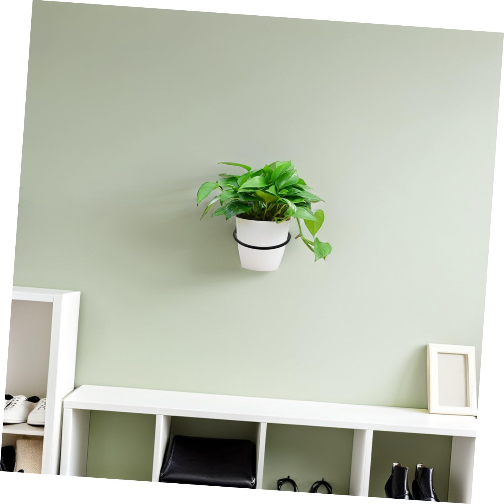6 Juegos De Soportes Soportes De Pared para Macetas para Macetas para Plantas Color Negro