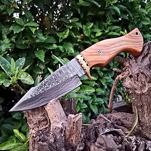 Handmade Damascus Steel 10\" Olive Wooden Handel Fixed Blade Hunting Bowie Knife Best for Outdoor & Indoor Camping Hunting Fixed blade knife - Thumbnail 4