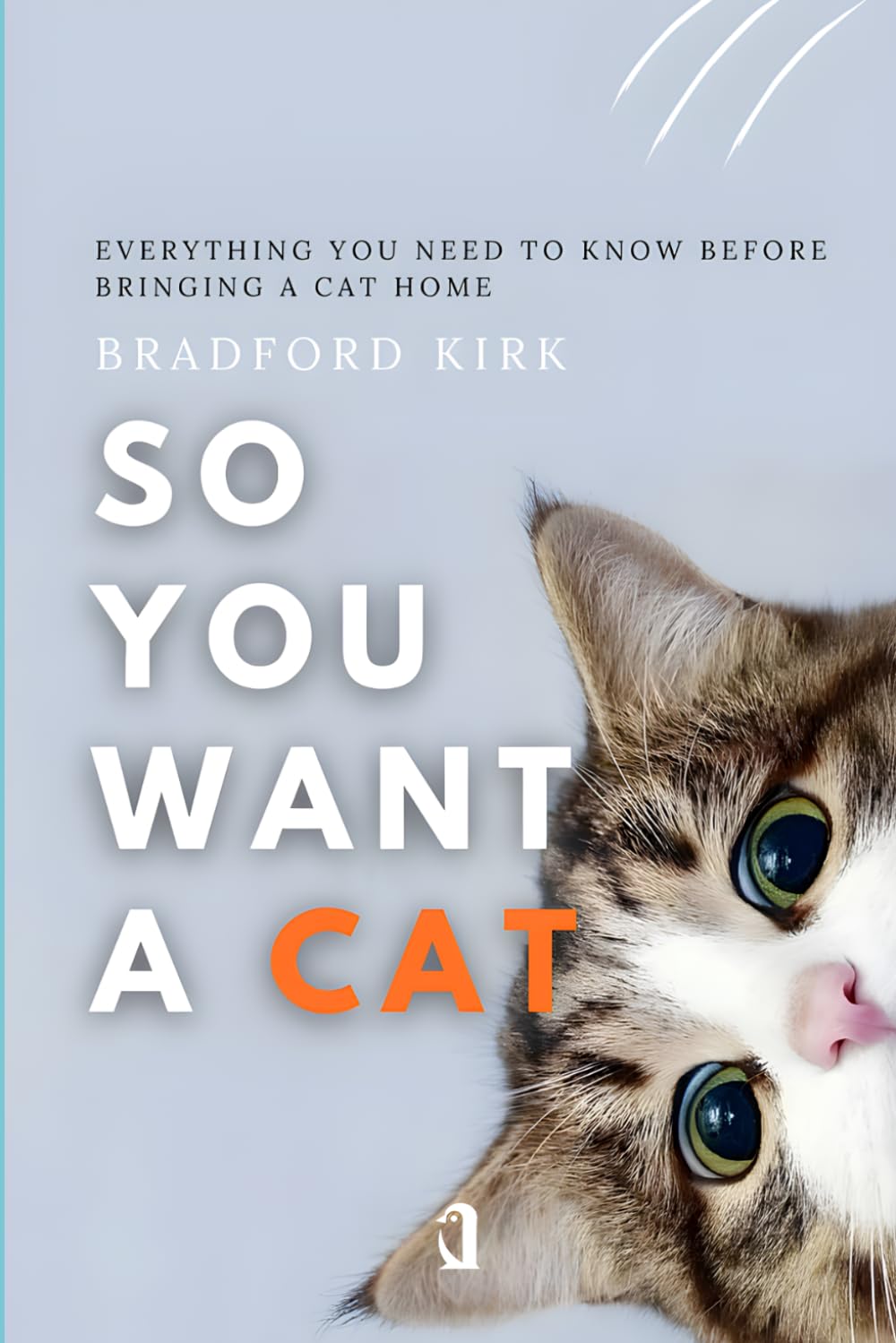So You Want a Cat: Everything You Need to Know Before Bringing a Cat Home