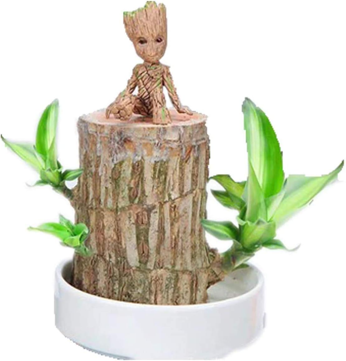 Brazilian Wood Potted Plants Clean Air Lucky Wood Groot Plant Pot Hydroponic Plants Hydroponic Tree Stump Desktop Plants 7-8cm in diameter (log) (Diameter 7-8 cm Brazilian wood + Groot, With basin)