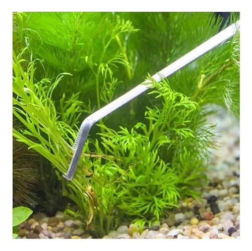 Conjunto de Ferramentas para Aquários e Terrários, Paisagismo, Tesouras e Pinças, Aço Inoxidável, Po