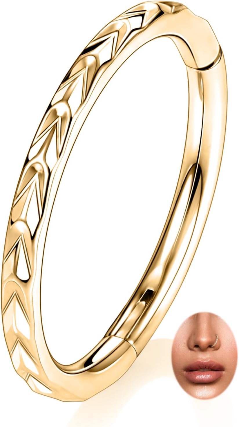 PEAKLINK 16G Arrow Nose Hoop Ring Conch Helix Cartilage Earring Hinged Segment Seamless Clicker Ring Surgical Steel Septum Jewelry Rook Daith Lip Tragus Piercing Jewelry for Women Men