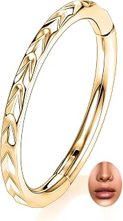 PEAKLINK 16G Arrow Nose Hoop Ring Conch Helix Cartilage Earring Hinged Segment Seamless Clicker Ring Surgical Steel Septum Jewelry Rook Daith Lip Tragus Piercing Jewelry for Women Men
