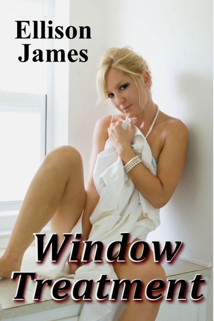 Window Treatment (Sex in Public Book 1)
