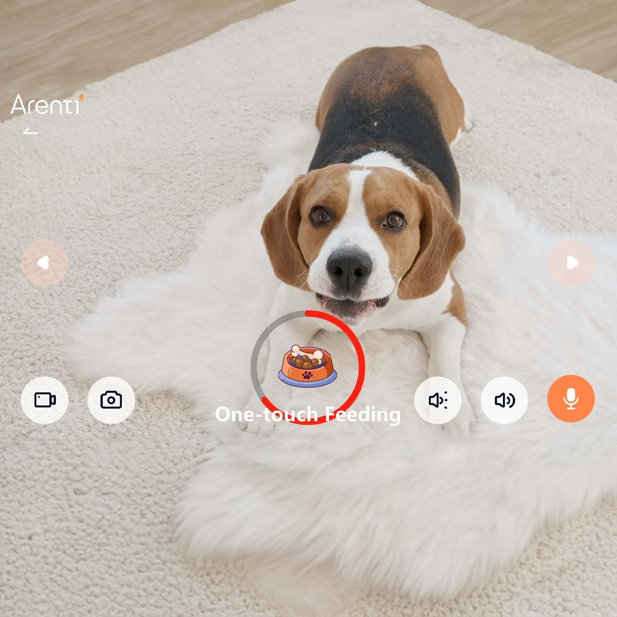ARENTI Dog Treat Petcam1T Caméra de surveillance WiFi avec distributeur de friandises intégré pour animaux de compagnie