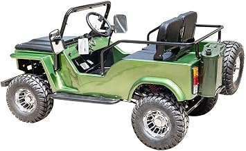 HHH Adults and Youth VITACCI GR2-125cc Go Kart with 3-Speed Semi-Automatic with Reverse and Big 18 inch Aluminium Rim Wheels RPS TK125JP (Red) - Extra Large