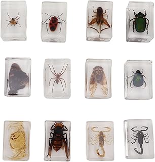 GOWENIC 12Pcs Beetles in Resin Specimen, Real Resin Specimen Bugs Collection Paperweights, Resin Specimen Different Beetles Specimen Bug Preserved in Resin for Scientific Educational